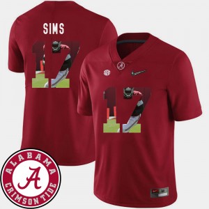 Men's Alabama Crimson Tide #17 Cam Sims Crimson Football Pictorial Fashion Jersey 347756-288